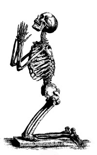 a skeleton